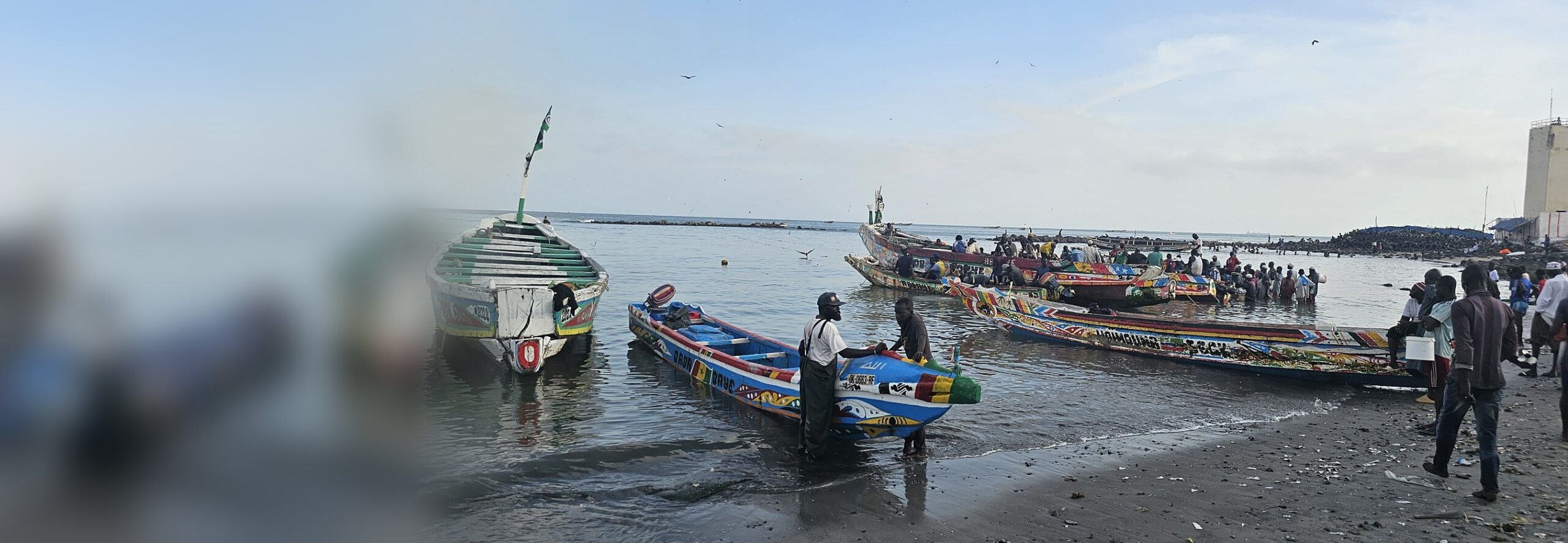 Des pêcheurs mettent leurs pirogues peintes à l’eau, sur une plage du Sénégal